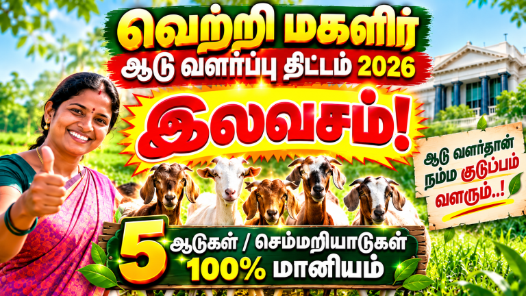 Vetri Magalir Goat Rearing Scheme 2026: 5 Goats or Sheep Under 100% Subsidy