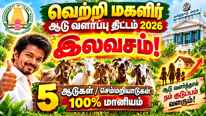 Tamil Nadu Goat Farming Scheme 2026